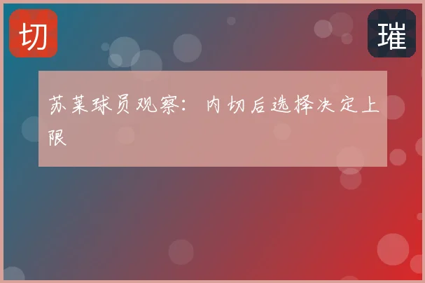 苏莱球员观察:内切后选择决定上限